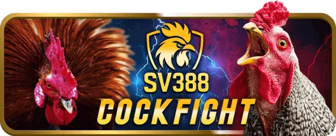 Hình ảnh hoàn trả tiền cược hàng ngày/tuần cho các trận đấu thể thao tại 88fc.